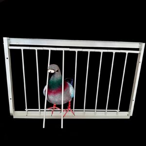 pigeon trap door pigeon door pigeon traps bird traps pigeon loft door