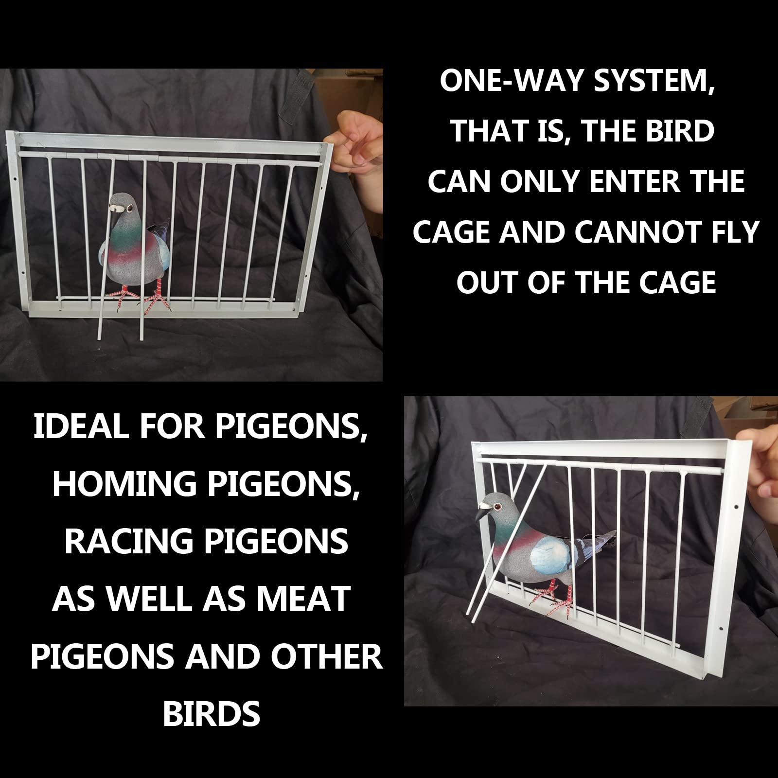 Pigeon Trap Door Pigeon Door Pigeon Traps Bird Traps Pigeon loft Door