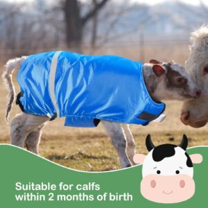 Dunzy 2 Pcs Calf Coat Calf Jacket Calf Warming Blanket Waterproof Windproof Calf Saver (Blue,Classic Style)