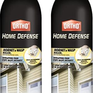 Ortho Home Defense Hornet & Wasp Killer with Entrapping Foam and Jet Spray, 16 oz. (2-Pack)