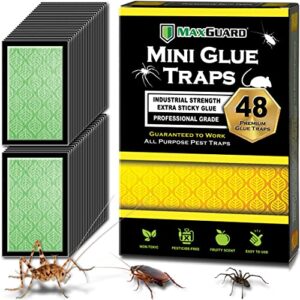 maxguard mini glue traps (48 traps) non-toxic extra sticky glue board pre-baited with fruity scent attractant trap & kill insects, bugs, spiders, crickets, scorpions, cockroaches, centipedes, mice