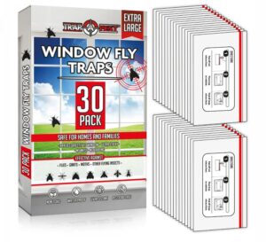 window fly traps indoor clear (30 pack) - fly window traps for indoors sticky, indoor fly trap non-toxic fly strips for windows - fly sticky traps indoor fly paper indoor bug sticky traps (8.25" x 5")