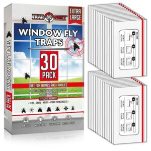 Window Fly Traps Indoor Clear (30 Pack) - Fly Window Traps for Indoors Sticky, Indoor Fly Trap Non-Toxic Fly Strips for Windows - Fly Sticky Traps Indoor Fly Paper Indoor Bug Sticky Traps (8.25" x 5")