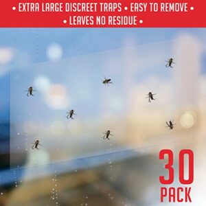 Window Fly Traps Indoor Clear (30 Pack) - Fly Window Traps for Indoors Sticky, Indoor Fly Trap Non-Toxic Fly Strips for Windows - Fly Sticky Traps Indoor Fly Paper Indoor Bug Sticky Traps (8.25" x 5")