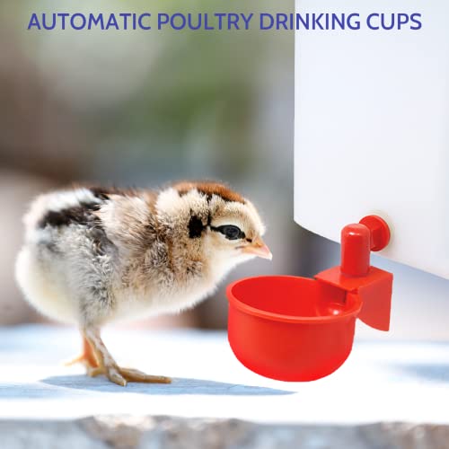 Nordun 12 Pack Chicken Waterer Cups, Automatic Chicken Water Feeder Kit 3/8 Inch Thread Automatic Filling Waterer Poultry Drinking Bowl Suitable for Ducks, Geese, Turkeys, and Bunny Rabbit