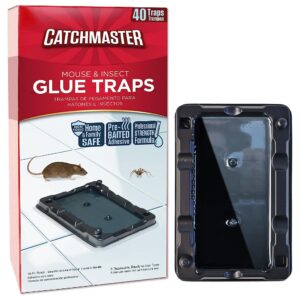 catchmaster mouse & insect glue traps 40-pk, adhesive rodent & bug catcher, pre-scented mouse traps indoor for home, sticky glue traps for mice and insects, pet safe pest control for house & garage