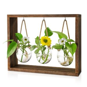 grovind plant propagation stations, desktop air plant terrarium with wooden stand propagation station, propagator glass planters for hydroponics plants home office gift for woman
