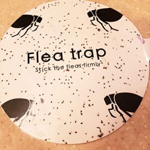 12 Packs Flea Trap Refill Discs for Inside Your Home, Natural Flea Light Trap Sticky Pads for Flea Detection.