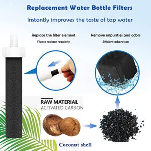 Molgoc Water Bottle Filter Replacement for Brita BB06,fit Brita Hard sided,Sport and Stainless Steel Bottle (10 Count) by Molgoc.