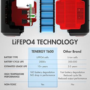 Tenergy T600 Portable Power Station, 600Wh Battery, 3x 500W (Peak 1000W) AC Outlets, USB type C PD 100W, Solar Ready Mobile Power for Outdoors Camping Vans, RV, Emergency Backup