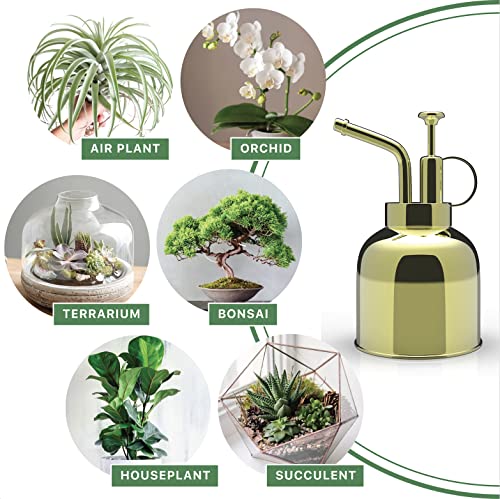 LOOPSEED Stainless Steel Plant Mister Spray Bottle Watering Can for Indoor Plants Succulent Bonsai Garden Spray Houseplant Spritzer Modern Garden Tools 10oz/300ml (GOLD)