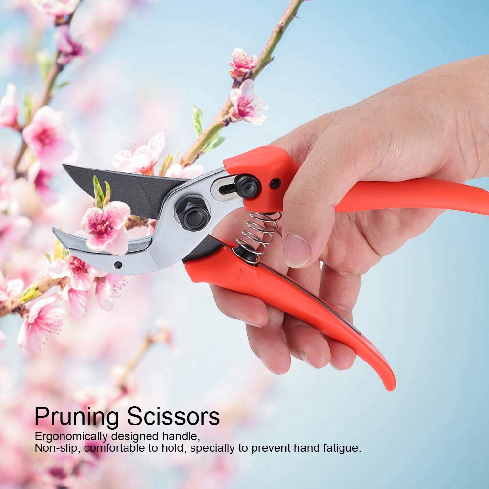 Garden Pruner, Handheld Pruning Shears Professional Floral Scissors Lightweight Vine Clippers for Cutting Flowers, Trimming Plants, Bonsai, Fruits Picking