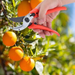 Garden Pruner, Handheld Pruning Shears Professional Floral Scissors Lightweight Vine Clippers for Cutting Flowers, Trimming Plants, Bonsai, Fruits Picking