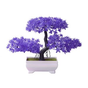 c-larss bonsai tree nice-looking simulation welcoming pine bonsai for park purple