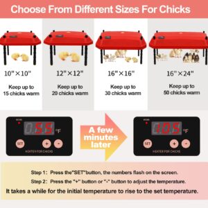 OUYOLAD Chick Brooder Heating Plate 16" x 24", Chicken Brooder with Temperature Adjustable, Brooder Heater Plate, Chicks Heating Plate for chicks with Adjustable Height 66W Warms Up to 50 Chicks