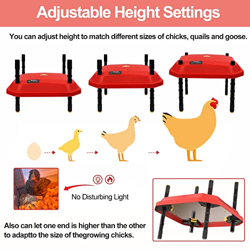 Chick Brooder Heating Plate 10" x 10", Temperature Adjustable Chicken Brooder, Brooder Heater Plate, Chicks Heating Plate for chicks with Adjustable Height 30W Warms Up to 15 Chicks