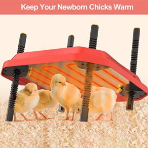 Chick Brooder Heating Plate 10" x 10", Temperature Adjustable Chicken Brooder, Brooder Heater Plate, Chicks Heating Plate for chicks with Adjustable Height 30W Warms Up to 15 Chicks