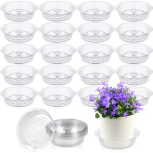 shellwei 100 pcs plastic plant saucer plant drip trays 6 inch plant clear water plant plate plastic dish trays plant trays for pot indoor outdoor garden container planters drainage