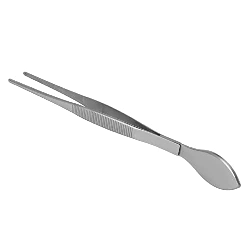 Jeanoko Bonsai Spatula Tweezers, Picking Up Sprigs Straight Tip Stainless Steel Removing Moss Bonsai Tweezers for Garden