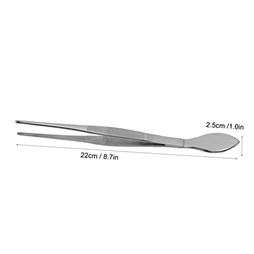 Jeanoko Bonsai Spatula Tweezers, Picking Up Sprigs Straight Tip Stainless Steel Removing Moss Bonsai Tweezers for Garden