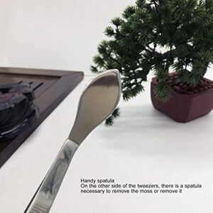 Jeanoko Bonsai Spatula Tweezers, Picking Up Sprigs Straight Tip Stainless Steel Removing Moss Bonsai Tweezers for Garden