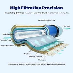 MOPUEHEL 50 GPD Reverse Osmosis Membranes, RO Membrane Filter Replacement, Compatible for RO5DX / RO5DXC / RO5XBN / RO5XCBN RO5M / RO5MX2 / RO5MXBN / RO5MXC / ROES-50 / MEM-ES-50 / GXRM10RBL (1 Pack)