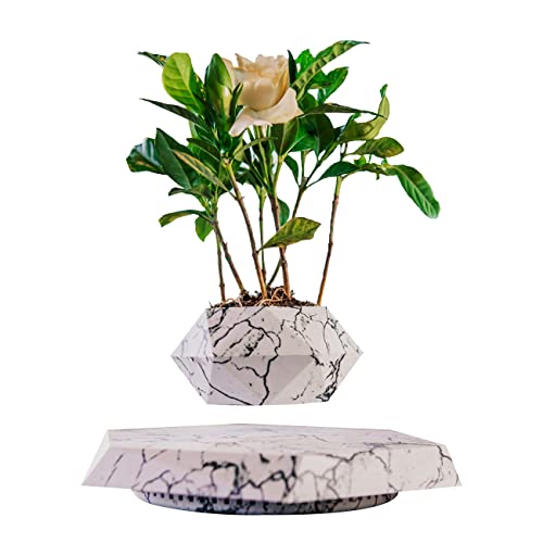 HCNT Floating Plant Pot - Levitation Air Bonsai Pot for Succulents, Floating Planter, Potted Plant Home, Office & Decor in Flower Pots for Home. (Marble)
