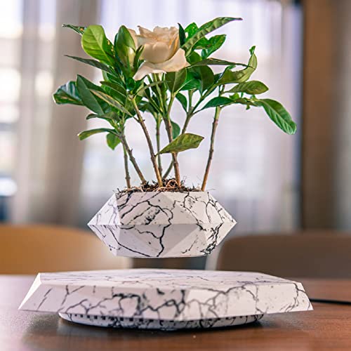 HCNT Floating Plant Pot - Levitation Air Bonsai Pot for Succulents, Floating Planter, Potted Plant Home, Office & Decor in Flower Pots for Home. (Marble)