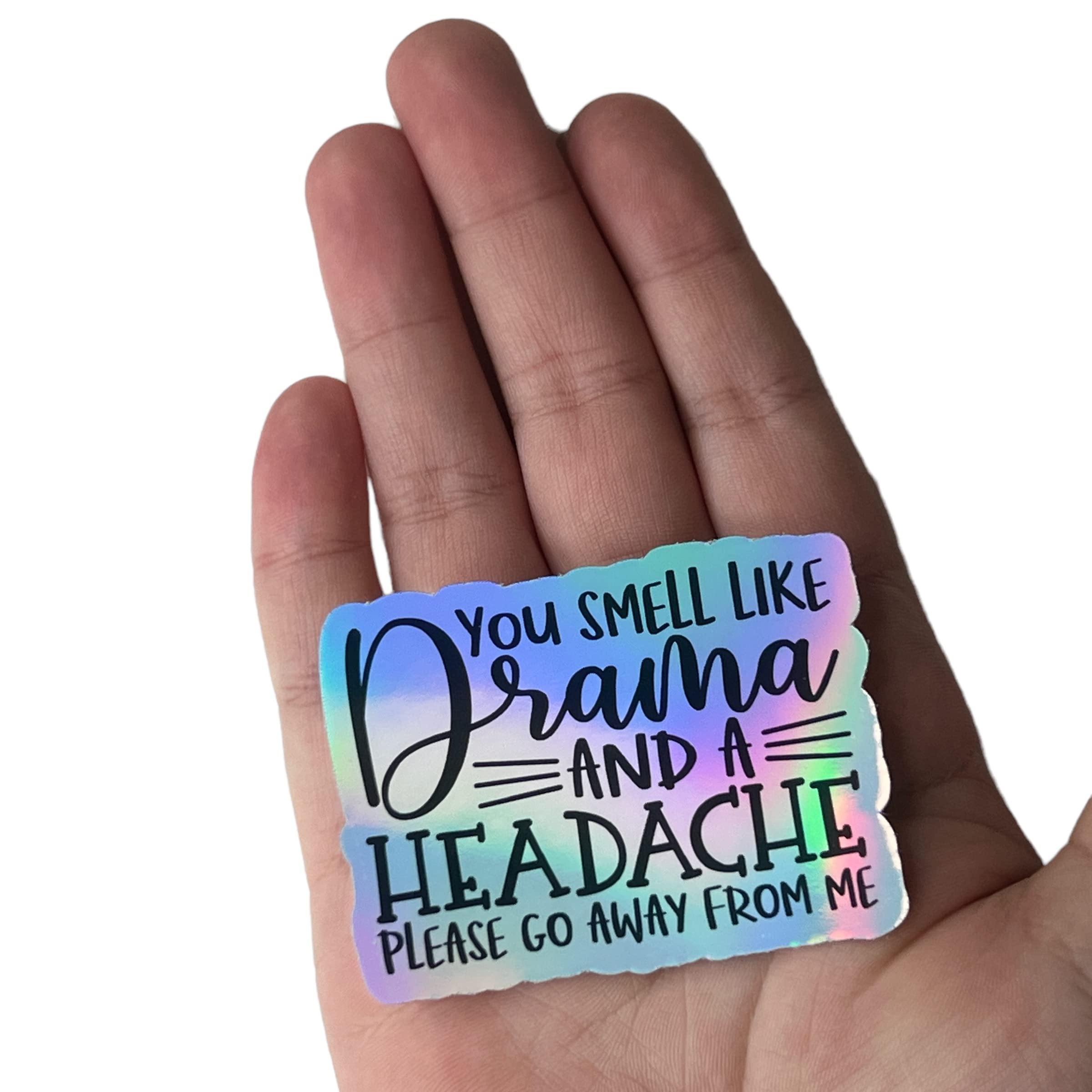 12 pc Funny Quote Stickers HOLOGRAPHIC WATERPROOF VINYL, Birthday Gift, Present, Laptop Sticker, Phone Sticker, Water Bottle Sticker, Window Sticker, Planner Stickers, Teen, Adult Humor