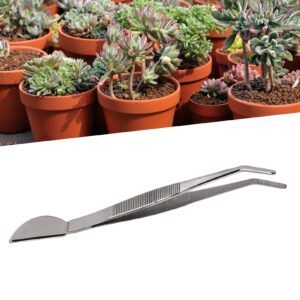 Bonsai Tweezers Tools, Bonsai Tweezers Rust Proof for Loosening Soil Bent