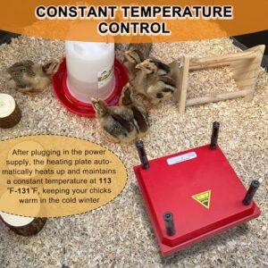 ZenxyHoC Chick Heater Brooder Plate, 10" x 10" Chick Brooder Heating Plate with Adjustable Heights 9.8 FT Power Cord for Baby Chicken Supplies