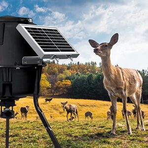 12V 2W Solar Panel for Deer Feeder, Waterproof Small Solar Battery Charger with Aluminum Mounting Bracket and Alligator Clip for Deer Feeder 12 Volt Solar Panel