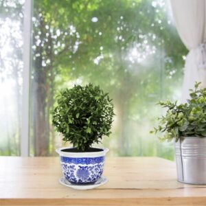 GANAZONO Ceramic Planter Blue and White Planter Flower Pots with Tray Porcelain Bonsai Pot Plant Container Planter for Home Office