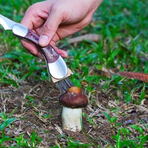 Coowolf Mushroom Knife with Brush and Sheath, Sharp Mushroom Foraging Knife, Folding Mushroom Hunting Knife, Best Gift for Mushroom Hunter and Mushroom Lovers