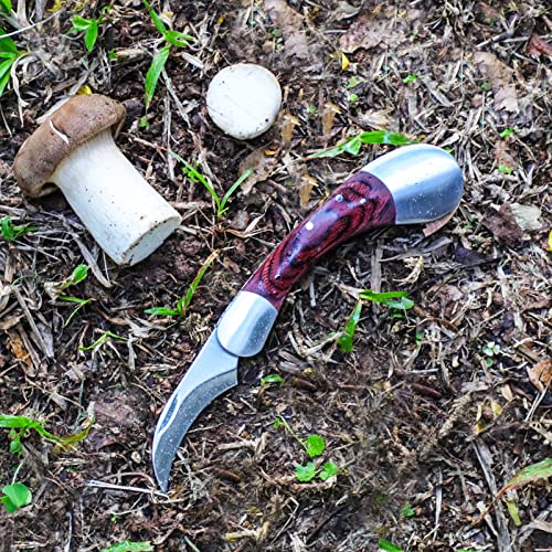 Coowolf Mushroom Knife with Brush and Sheath, Sharp Mushroom Foraging Knife, Folding Mushroom Hunting Knife, Best Gift for Mushroom Hunter and Mushroom Lovers