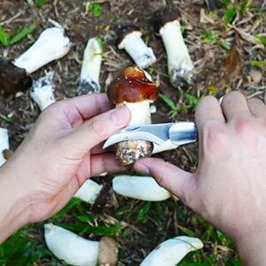 Coowolf Mushroom Knife with Brush and Sheath, Sharp Mushroom Foraging Knife, Folding Mushroom Hunting Knife, Best Gift for Mushroom Hunter and Mushroom Lovers