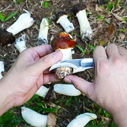 Coowolf Mushroom Knife with Brush and Sheath, Sharp Mushroom Foraging Knife, Folding Mushroom Hunting Knife, Best Gift for Mushroom Hunter and Mushroom Lovers