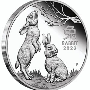 2023 P Year of The Rabbit half ounce silver coin proof (1/2) oz Seller Mint State