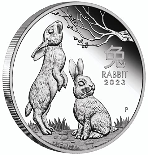 2023 P Year of The Rabbit half ounce silver coin proof (1/2) oz Seller Mint State