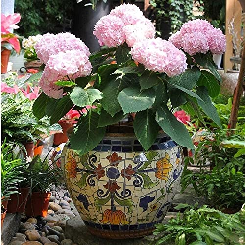 UimimiU European Classical Plant Pot Mosaic Large Flower Pot Hand-Painted Ceramic Container Vase Bonsai Planter Outdoor Garden Villa Corridor Aisle Landscape Decor Home Balcony Terrace