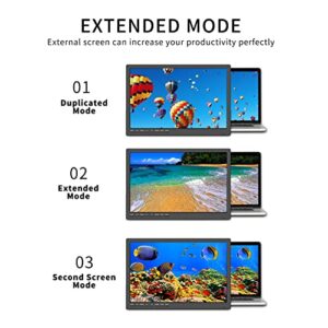 Feihe 17 Inch Computer Monitor, FHD 1920x1200 LED Monitor with HDMI VGA Build-in Speakers, 60Hz Refresh Rate, VESA Mounting
