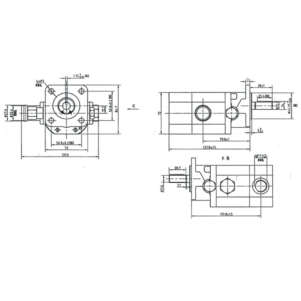 13 GPM Hydraulic Log Splitter Pump, Gear Pump 3000PSI 2 Stage 1/2" Shaft Parts, Log Splitter Pumps 1/8" Keyed Shaft for Small Engine Mounting Wood Splitter