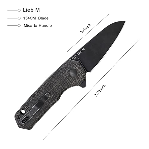 Kizer Lieb M Folding Pocket Knife 3 Inches 154CM Blade Black Micarta Handle EDC Knife Outdoor Tools V3541C2