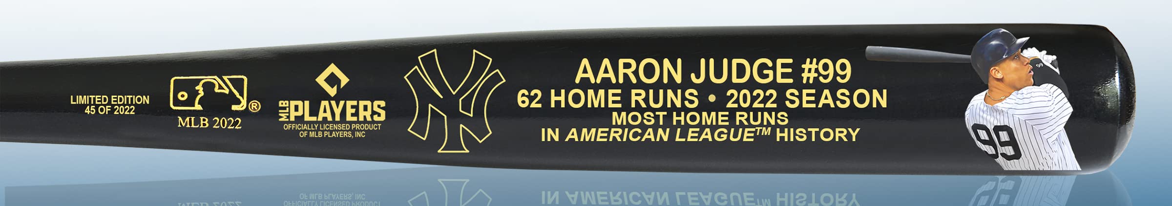 Aaron Judge AL Home Run Record Black Art Bat