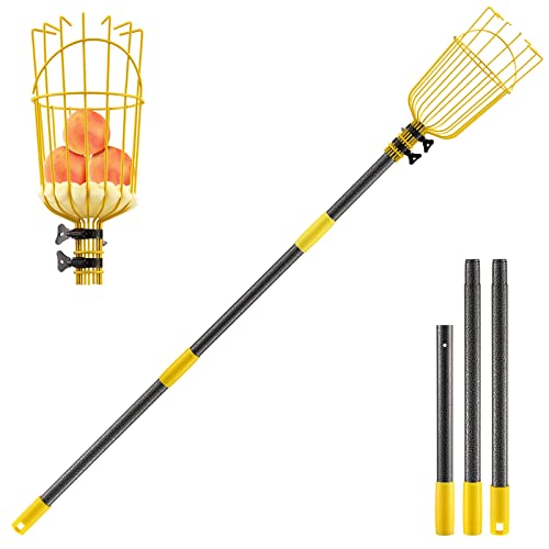 INFLATION Fruit Picker Tool,Apple Picker Pole with Basket,5.5 FT Adjustable Fruit Picker Pole with Basket Telescoping,Sturdy Basket with Foam Pad for Picking Avocado Acorn Lemon Pear Mango