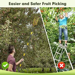 INFLATION Fruit Picker Tool,Apple Picker Pole with Basket,5.5 FT Adjustable Fruit Picker Pole with Basket Telescoping,Sturdy Basket with Foam Pad for Picking Avocado Acorn Lemon Pear Mango