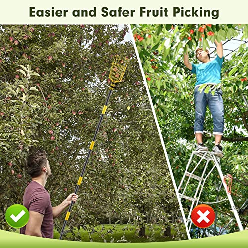 INFLATION Fruit Picker Tool,Apple Picker Pole with Basket,5.5 FT Adjustable Fruit Picker Pole with Basket Telescoping,Sturdy Basket with Foam Pad for Picking Avocado Acorn Lemon Pear Mango