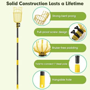 INFLATION Fruit Picker Tool,Apple Picker Pole with Basket,5.5 FT Adjustable Fruit Picker Pole with Basket Telescoping,Sturdy Basket with Foam Pad for Picking Avocado Acorn Lemon Pear Mango