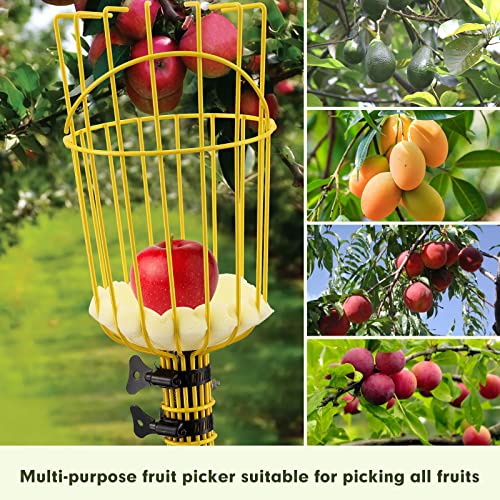 INFLATION Fruit Picker Tool,Apple Picker Pole with Basket,5.5 FT Adjustable Fruit Picker Pole with Basket Telescoping,Sturdy Basket with Foam Pad for Picking Avocado Acorn Lemon Pear Mango