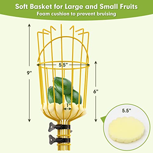 INFLATION Fruit Picker Tool,Apple Picker Pole with Basket,5.5 FT Adjustable Fruit Picker Pole with Basket Telescoping,Sturdy Basket with Foam Pad for Picking Avocado Acorn Lemon Pear Mango